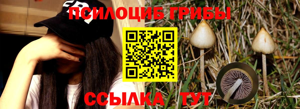 Псилоцибиновые грибы прущие грибы  Галлюциногенные грибы мицелий  Ступино  Вход с VPN 